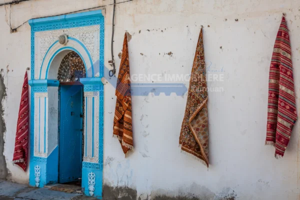 Guide pour Acheter et Vendre des Biens Immobiliers à Kairouan